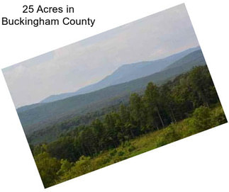 25 Acres in Buckingham County