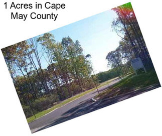1 Acres in Cape May County