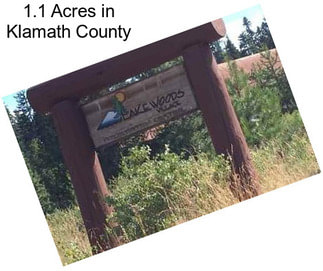 1.1 Acres in Klamath County