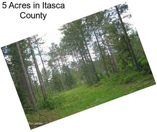 5 Acres in Itasca County