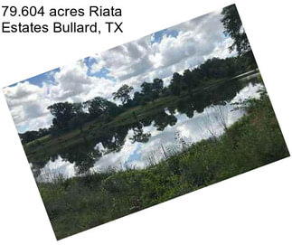 79.604 acres Riata Estates Bullard, TX