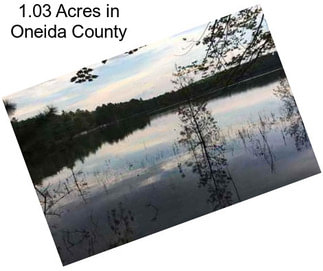 1.03 Acres in Oneida County