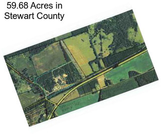 59.68 Acres in Stewart County