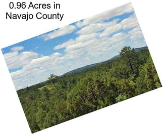 0.96 Acres in Navajo County