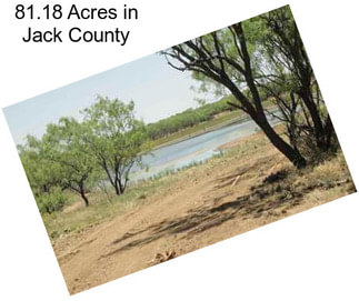 81.18 Acres in Jack County