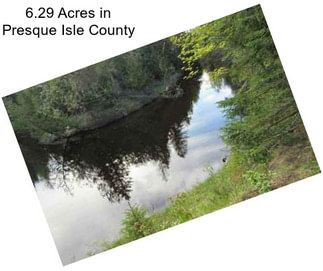 6.29 Acres in Presque Isle County
