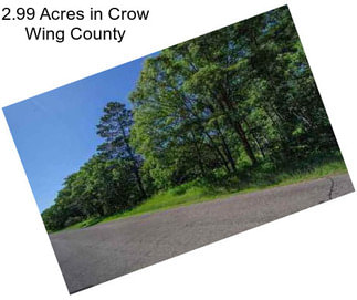 2.99 Acres in Crow Wing County