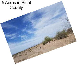 5 Acres in Pinal County
