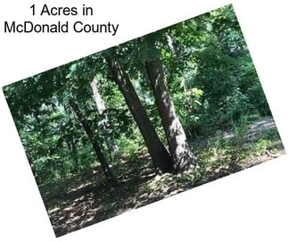 1 Acres in McDonald County