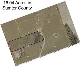 16.04 Acres in Sumter County