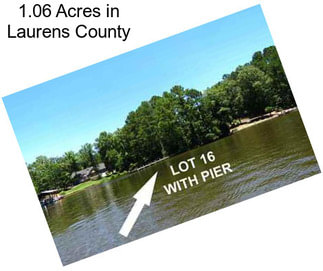 1.06 Acres in Laurens County