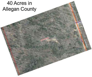 40 Acres in Allegan County