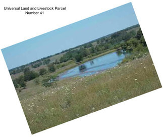 Universal Land and Livestock Parcel Number 41