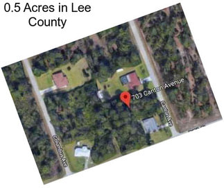 0.5 Acres in Lee County