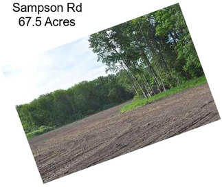 Sampson Rd 67.5 Acres