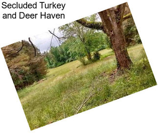 Secluded Turkey and Deer Haven