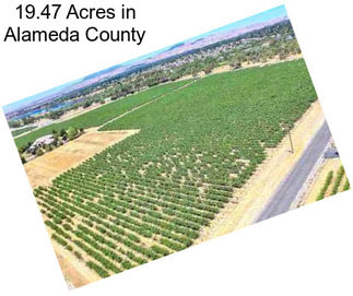 19.47 Acres in Alameda County