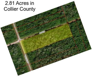 2.81 Acres in Collier County