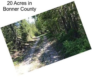 20 Acres in Bonner County