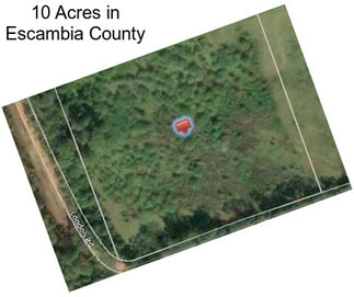 10 Acres in Escambia County