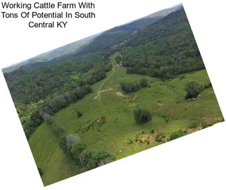 Working Cattle Farm With Tons Of Potential In South Central KY