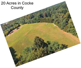 20 Acres in Cocke County