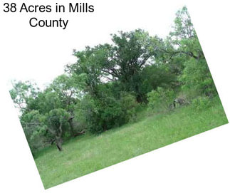 38 Acres in Mills County