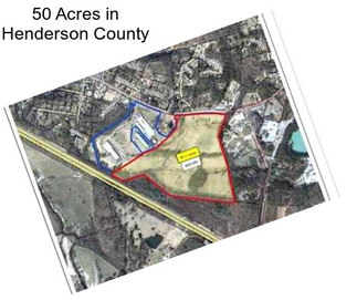 50 Acres in Henderson County