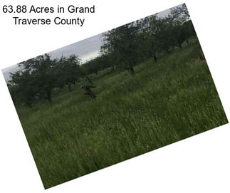 63.88 Acres in Grand Traverse County