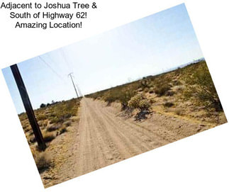 Adjacent to Joshua Tree & South of Highway 62! Amazing Location!