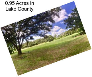 0.95 Acres in Lake County