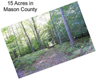 15 Acres in Mason County