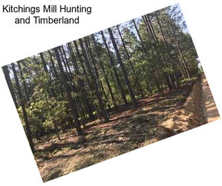 Kitchings Mill Hunting and Timberland