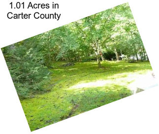 1.01 Acres in Carter County
