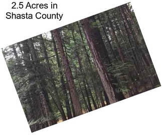 2.5 Acres in Shasta County