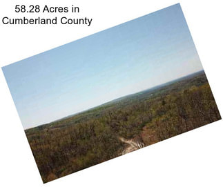 58.28 Acres in Cumberland County