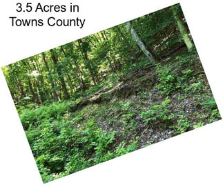 3.5 Acres in Towns County