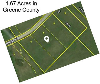 1.67 Acres in Greene County