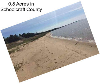 0.8 Acres in Schoolcraft County