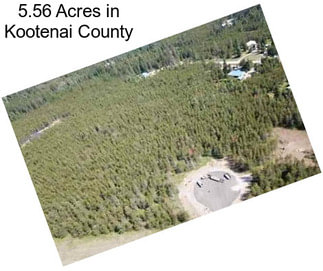 5.56 Acres in Kootenai County