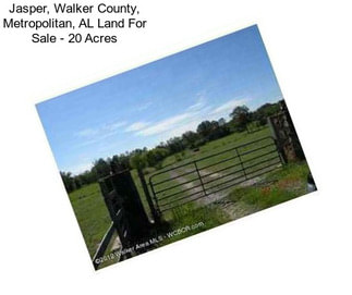 Jasper, Walker County, Metropolitan, AL Land For Sale - 20 Acres