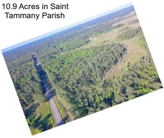 10.9 Acres in Saint Tammany Parish