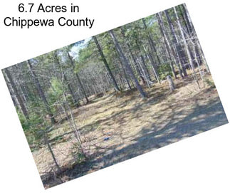 6.7 Acres in Chippewa County