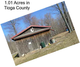 1.01 Acres in Tioga County