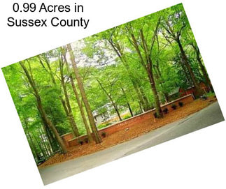 0.99 Acres in Sussex County