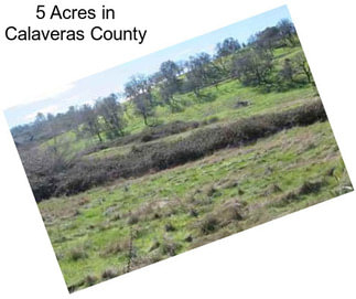 5 Acres in Calaveras County