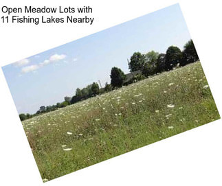 Open Meadow Lots with 11 Fishing Lakes Nearby