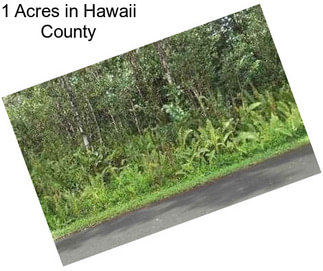 1 Acres in Hawaii County