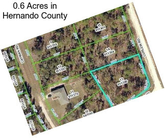 0.6 Acres in Hernando County