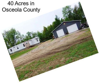 40 Acres in Osceola County